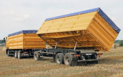 Услуги зерновозов для перевозки зерна - Кызыл, цены, предложения специалистов