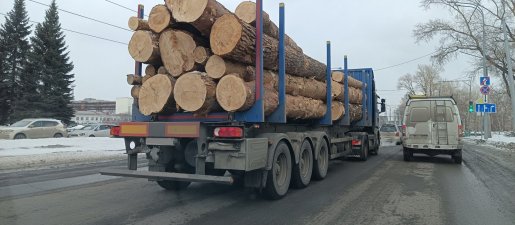 Поиск транспорта для перевозки леса, бревен и кругляка стоимость услуг и где заказать - Кызыл
